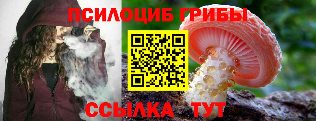 Железногорск  Галлюциногенные грибы Psilocybe  Вход с VPN  Галлюциногенные грибы мицелий 