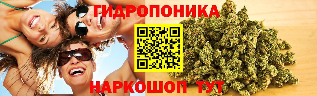 Канабис ГИДРОПОН  Вход с VPN  Конопля Bruce Banner  Железногорск  Шишки марихуана тримм 